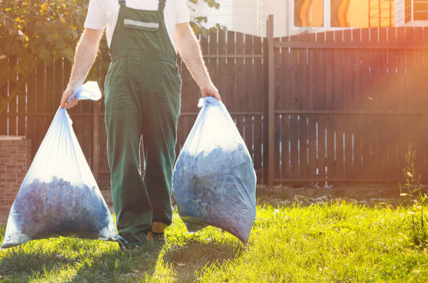 Best Office Junk Removal  in Forestville, MD